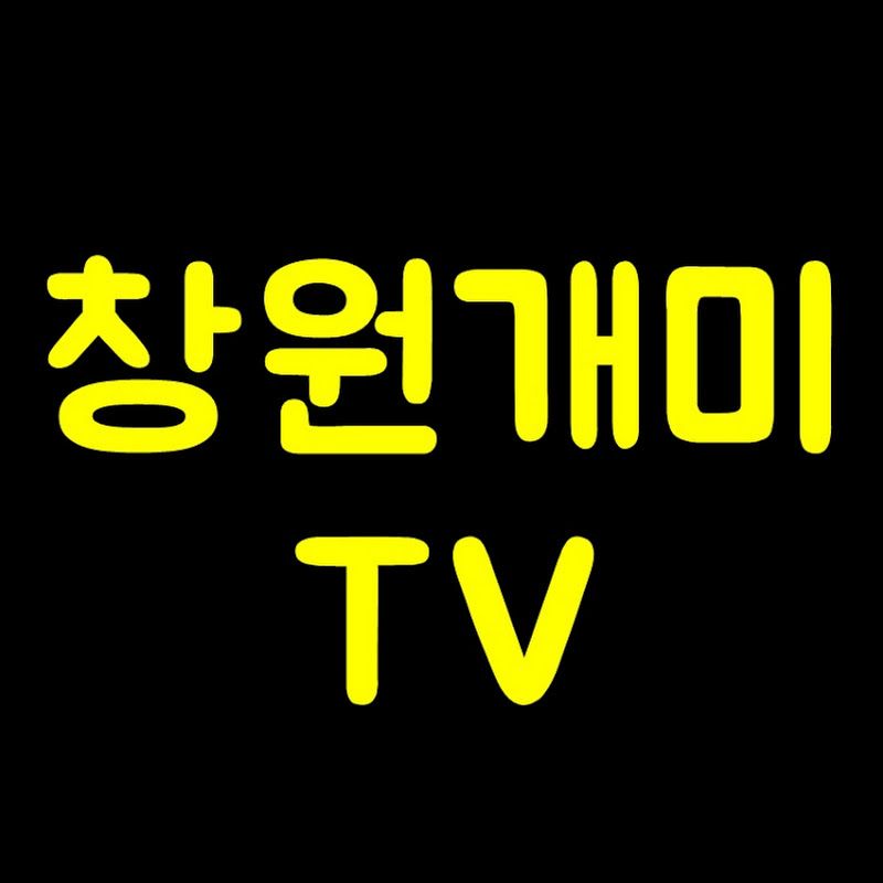 창원개미TV 프로필