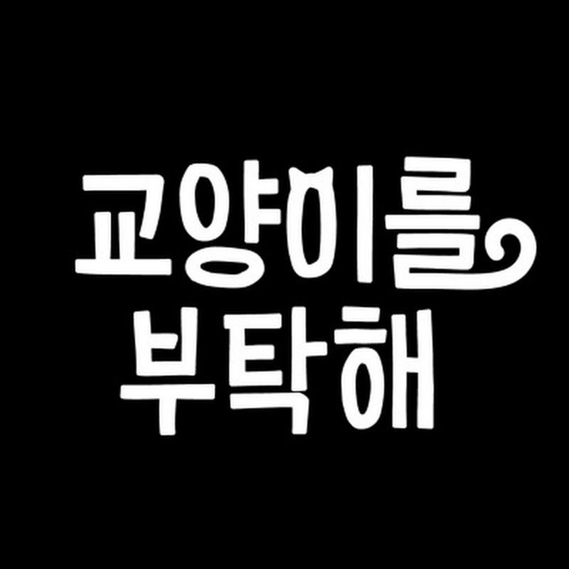 교양이를 부탁해 채널